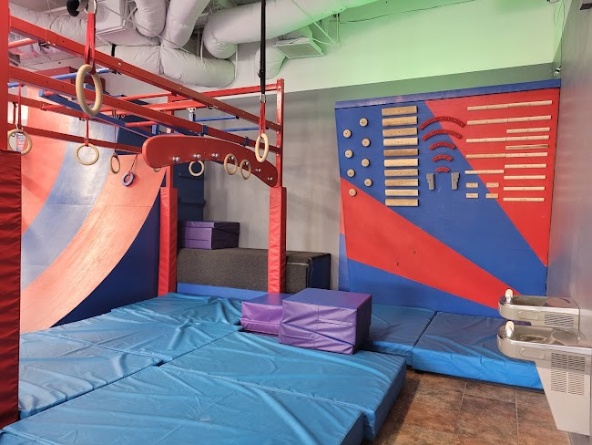 Conquer Ninja Gyms | Scottsdale, AZ Scottsdale photo 4