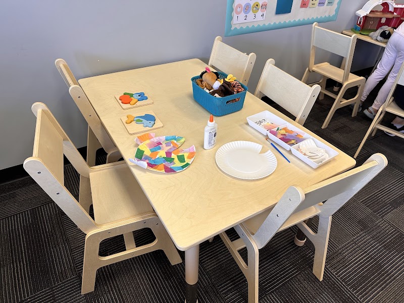 Full Spectrum Learn & Play photo 3