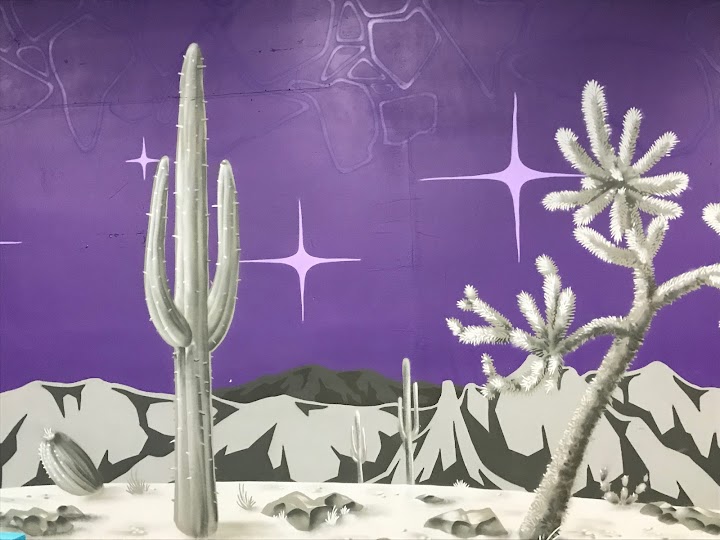 Jumping Cholla Trampoline Park Tucson photo 6