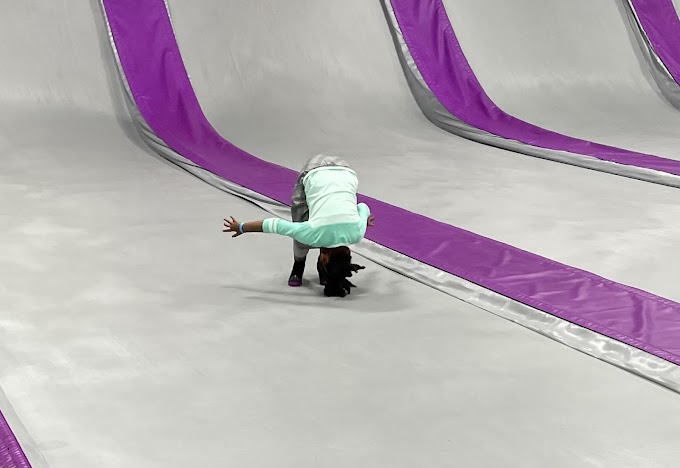 Stratosphere Adventure Park photo 7