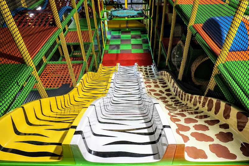 Wild Katz - Children's Adventure Playground photo 3
